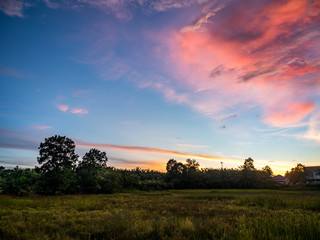 Fototapeta na wymiar sweet twilight at the meadow