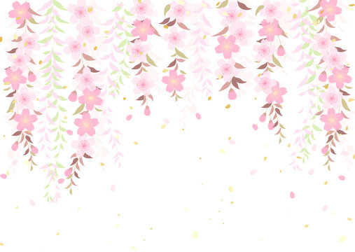 枝垂れ桜 柳