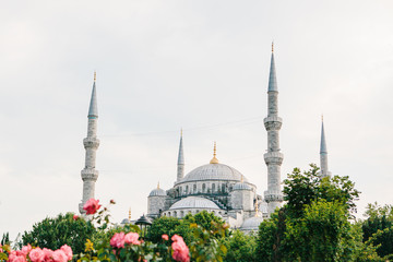 Fototapeta premium The world-famous Blue Mosque in Istanbul is also called Sultanahmet. Turkey.