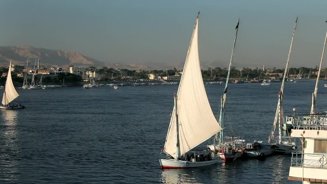 Feluccas In Full Sail; River Nile Luxor; River Nile, Luxor, Egypt