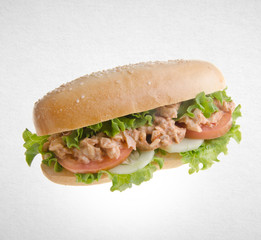 sandwich or hot dog sandwich on the background.