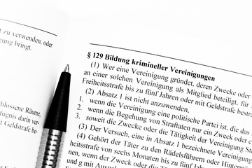 Bildung krimineller Vereinigungen Artikel im Strafgesetzbuch