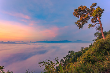 Obraz na płótnie Canvas Sunrise and sea of mist at Khao Phanoen Thung, Kaeng Krachan National Park in Thailand
