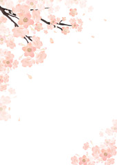 春 桜 背景 フレーム　水彩 イラスト