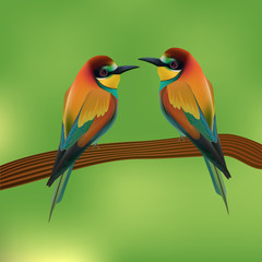 European bee-eater ( Merops apiaster ) is sitting on a twig