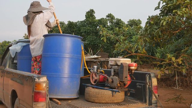 CHIANGRAI,THAILAND-DECEMBER 19,2015 : Farmers are spraying organic fertilizer
fruits longan , Thailand DECEMBER 19, 2015 in Chiangrai , THAILAND.