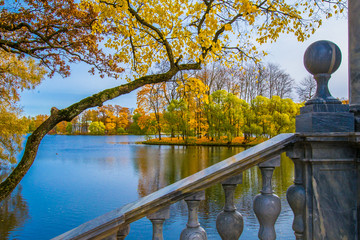View of the autumn park. Autumn park on the shore of a pond. Golden trees on the shore of the lake....