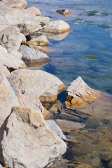 Lakeside Rocks