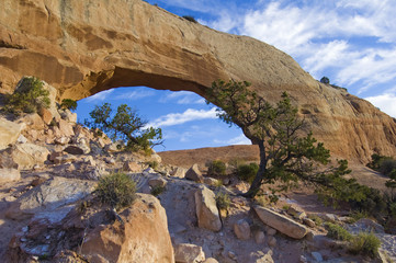 Fototapeta premium Red Rock Formations at Arches National Park