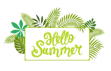 Fototapeta na wymiar Rectangular tropical frame, template with place for text. Heelo Summer lettering. Vector illustration, isolated on white background.