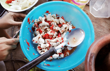 Cooking Salad Spicy and Sour Squid for Eat at Home 