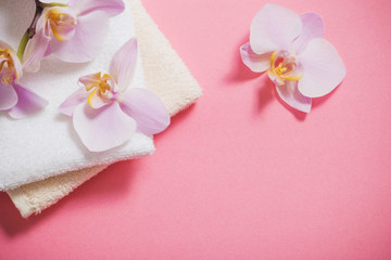Obraz na płótnie Canvas orchids on pink background