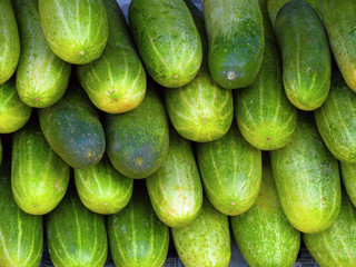 Cucumbers for sale Kerala India
