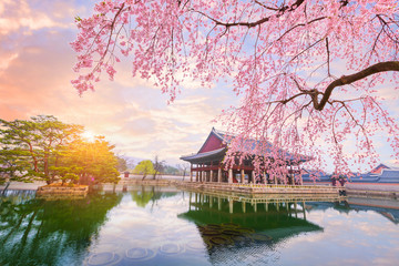 Gyeongbokgung-paleis met kersenbloesemboom in de lentetijd in de stad van seoul van korea, zuid-korea.