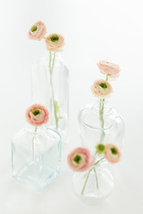 spring flowers in the vase
