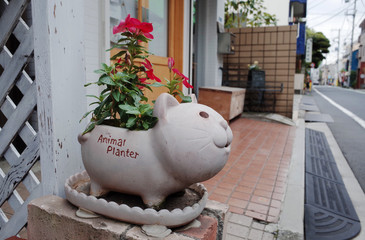 Cat Figure Clay Flowerpot in front Yard 