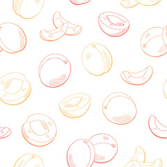 Apricot fruit graphic color seamless pattern sketch illustration vector