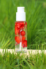  floral natural extract.cosmetics with flower extract. Red flowers japonica Chaenoméles japónica...