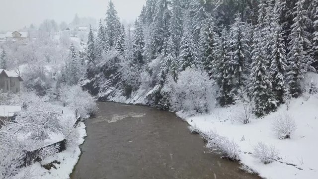 Flight over snowstorm in a snowy mountain coniferous forest and girl standing on a bridge across a mountain river near a mountain covered with coniferous forest in winter
