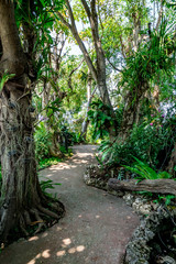 Concrete Pathway in the park