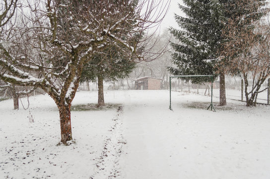 Winter Scene In Backyard, Snow Covered Street Neighborhood