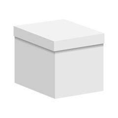 Blank paper or cardboard box