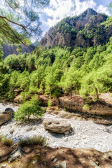Fototapeta na wymiar Canyon Samaria gorge