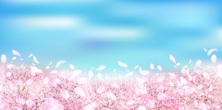 桜　春　風景　背景