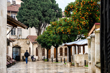 turkish mosque yard with mandarin trees, motocycle and men's back