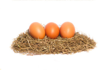 Chicken eggs in a nest on white background