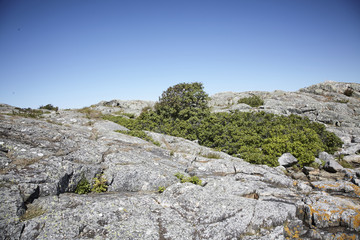 Fototapeta na wymiar Rock and cliff landscape by the sea