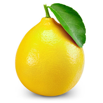 lemon fruit leaf
