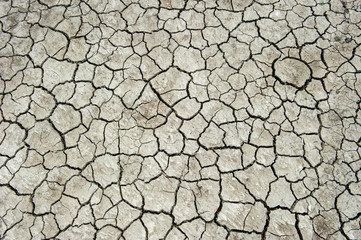 dry soil background texture