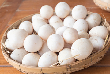 Duck eggs