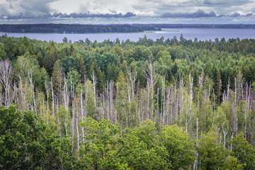 Mamry Lake in Masuria region, view from tourist tower in Mamerki Nazi bunker complex during WW2 in Poland