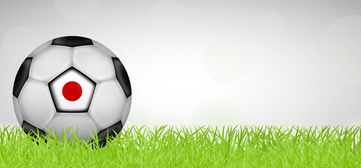 Naklejka premium Fußballwiese - Fußball Japan