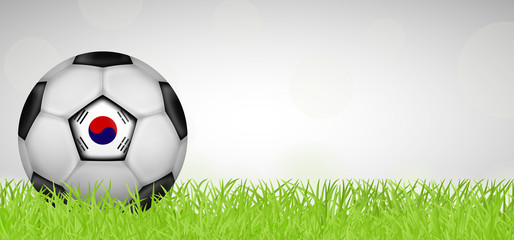 Naklejka premium Fußballwiese - Fußball Südkorea