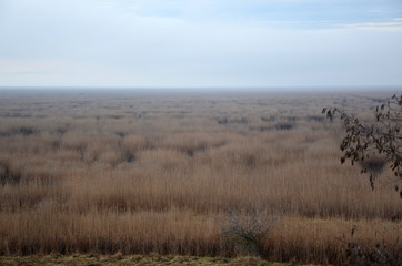 
Parco Nazionale Neusiedler See a Illmitz