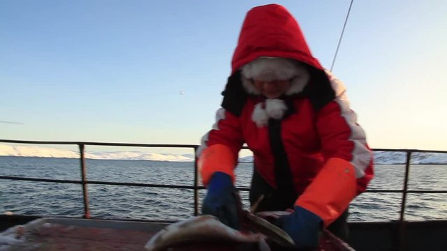 Woman cut up the fish on the fishing boat