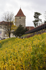 Prague Castle