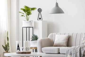 Bright living room interior