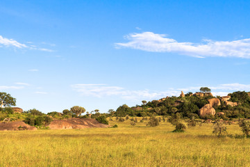 Sky and rocks on endless plain of Serengeti. Tanzania, Africa - obrazy, fototapety, plakaty