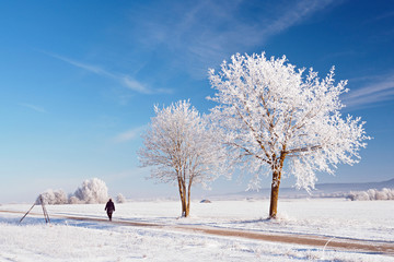 Winterspaziergang