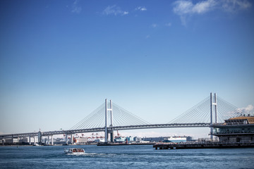 Fototapeta na wymiar 横浜の海