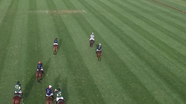 Polo horse player ride a horse In Games.