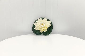 lotus flower on a white table
