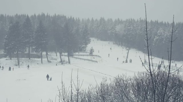 Winter sports, recreational tobogganing, skiing, sleigh rides. Total shot of ski slope. Winter landscape with falling snow. Everything is covered with fresh powder. Winter background, Christmas theme.