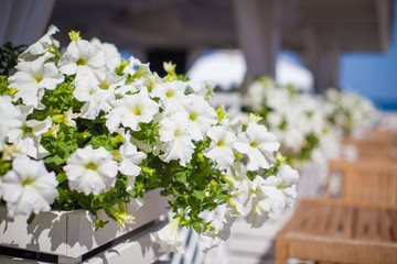 Elegant flower decoration on the table in restaurant for an event party or wedding table