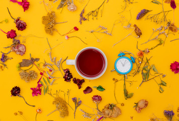 Obraz na płótnie Canvas Cup of red tea with little alarm clock and herbs