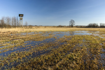 Flooded meadow with water and blue sky